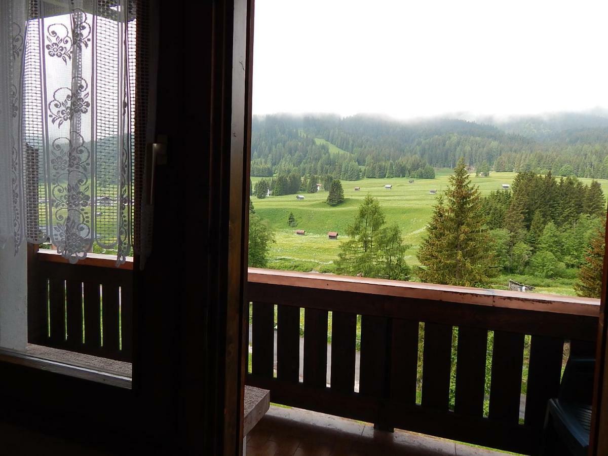 Residence La Pineta 파돌라 외부 사진